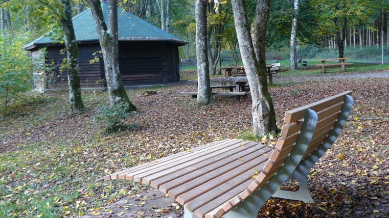 Rustplaats met houten banken en hut in het bos.