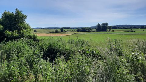 Een groen landschap met uitgestrekte velden en bomen. De lucht is helder en blauw, wat op een zonnige dag wijst.