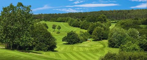 Eine weitläufige, grüne Landschaft mit sanften Hügeln und vielen Bäumen. Der Himmel ist blau und klar, was eine angenehme Atmosphäre schafft.