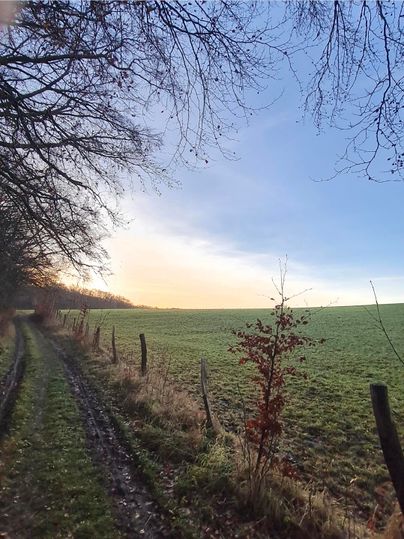 Ein ruhiger Weg führt durch eine grüne Wiese unter einem klaren, blauem Himmel. Bäume umrahmen die Szene und das Licht der Abenddämmerung ist sichtbar.