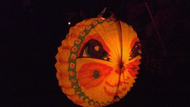 A glowing paper lantern in the shape of a butterfly. It emits a warm light in the darkness.