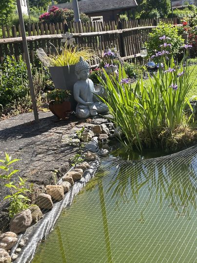 Un joli jardin avec un étang et des plantes vertes. Une statue d'un Bouddha est assise paisiblement au bord de l'eau.