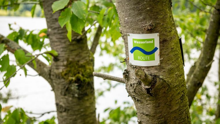 Ein Baum mit einem Schild der Wasserlandroute, das an seinem Stamm befestigt ist.