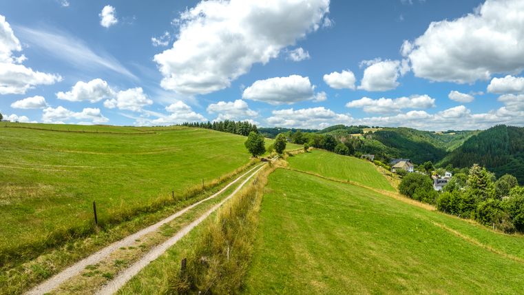 Landschap in de Eifel met groene weiden, een zandpad en beboste heuvels onder een blauwe lucht met witte wolken.