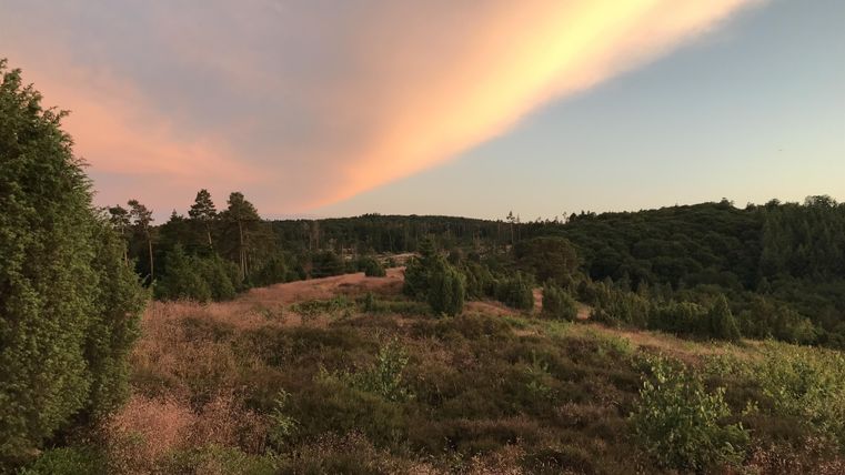 Eine ruhige Landschaft mit sanften Hügeln und üppiger Vegetation. Der Himmel zeigt wunderschöne Farben bei Sonnenuntergang.