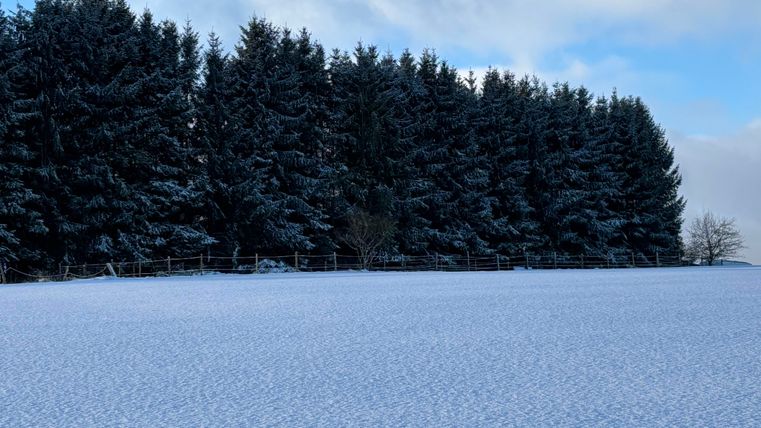 Hiver dans l'Eifel
