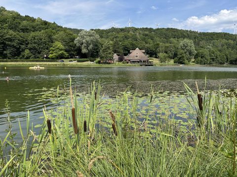 Der Riedener Waldsee, im Vordergrund Schilf, im Hintergrund die Seehütte