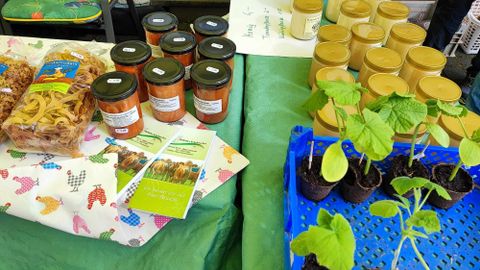 Ein Tisch mit verschiedenen Produkten, darunter Gläser mit Marmelade und frische Pflanzen. Neben einer bunten Decke liegen Informationsbroschüren und eine Auswahl an Trockenfrüchten.