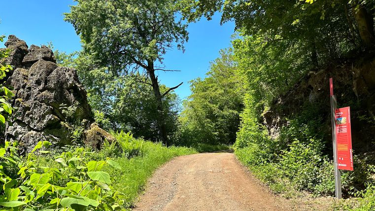 Wanderweg im Wald mit Infotafel und Felsen, blauer Himmel.
