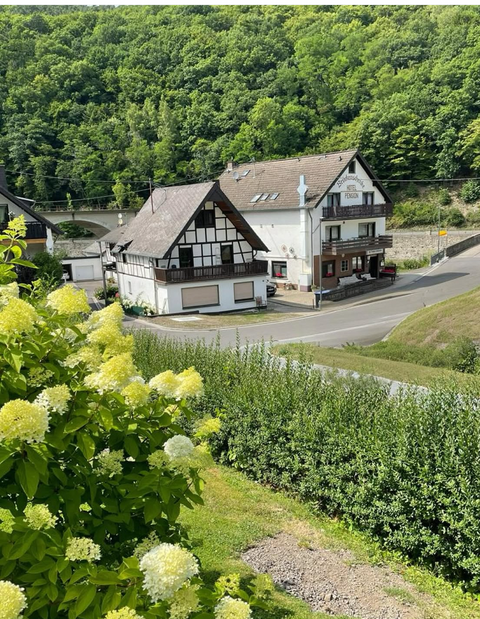 Ein schöner Blick auf das Ferienhaus und B&B, umgeben von grünen Wäldern