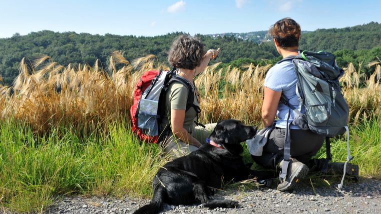 Deux randonneuses avec leur chien font une pause au bord d'un champ et regardent la vallée.