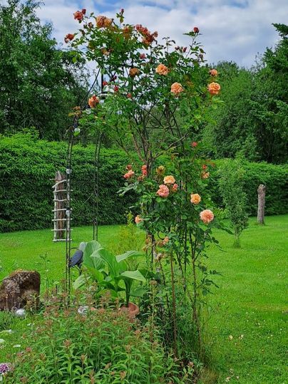 A beautiful garden with a rose arbor and green meadows. The roses bloom in warm colors under a cloudy sky.