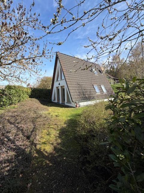 Ein modernes, schrägdachiges Haus steht in einem grünen Garten. Umgeben von Büschen und Bäumen unter einem klaren blauen Himmel.