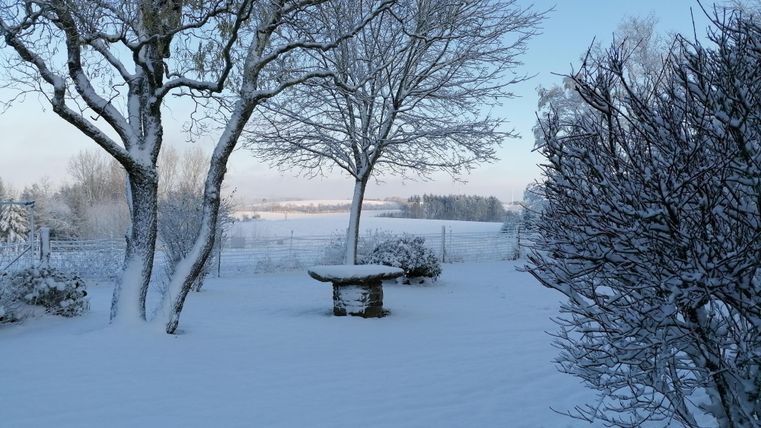 Eine winterliche Landschaft mit Schnee bedecktem Boden. Bäume und ein Steinbett sind im Vordergrund sichtbar.