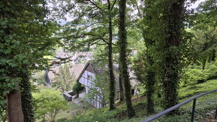 Une maison pittoresque entourée d'un vert luxuriant et d'arbres. La vue sur les environs est calme et accueillante.