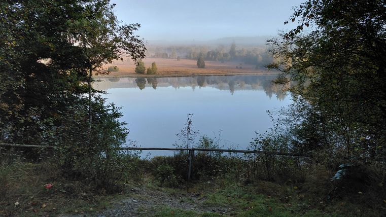 Un paysage paisible avec un lac tranquille et la brume sur l'eau. Entouré d'arbres et de collines douces.