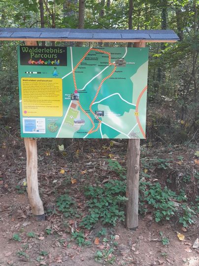 Une carte d'information dans une zone forestière montre des sentiers de randonnée et des points importants. L'arrière-plan est vert avec des détails géographiques.