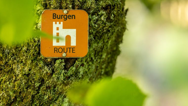 A sign with the inscription 'Castle Route' on a tree trunk in the forest.