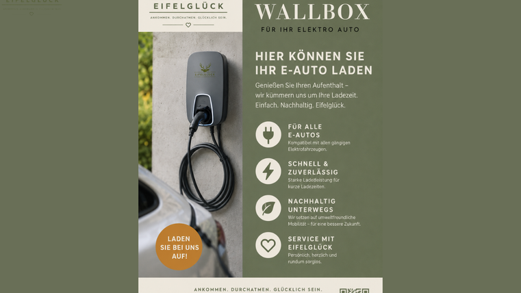 Eine Wallbox zum Laden von Elektroautos ist abgebildet. Der Hintergrund enthält Informationen zu den Ladestandorten und dem Serviceangebot.