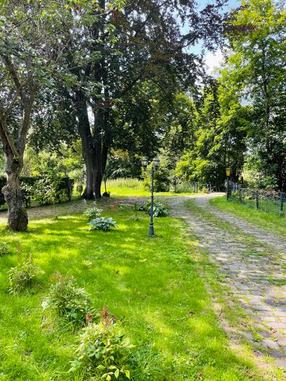 Un beau jardin avec beaucoup d'herbe verte et de grands arbres. Le chemin pavé mène à une zone calme à l'arrière-plan.