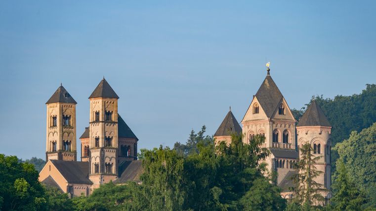 The exterior view of the abbey church in the sunshine, partially covered by large trees
