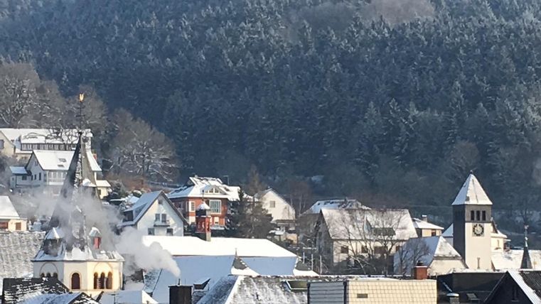 A wintry city view with snow-covered roofs. In the background, wooded hills and some church towers can be seen.