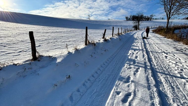 A snow-covered path with paw prints and long shadows. In the background, there are trees and a blue sky.