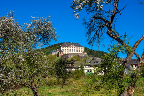 Schloss Malberg auf einem Hügel, umgeben von blühenden Bäumen und Häusern im Vordergrund.