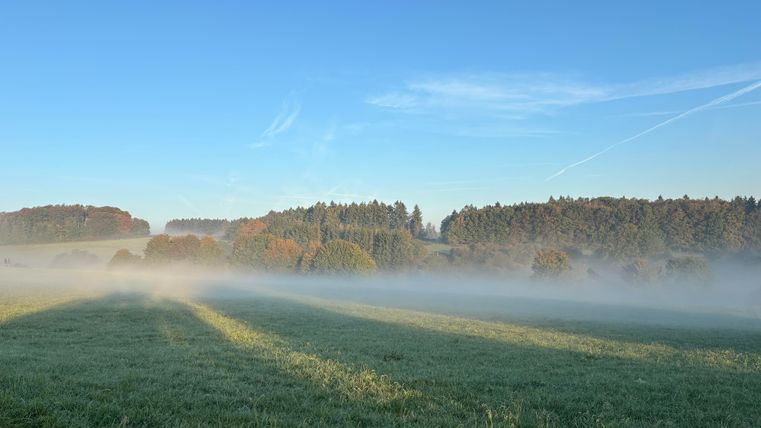 A misty meadow under a blue sky. In the background, there are trees and gentle hills.