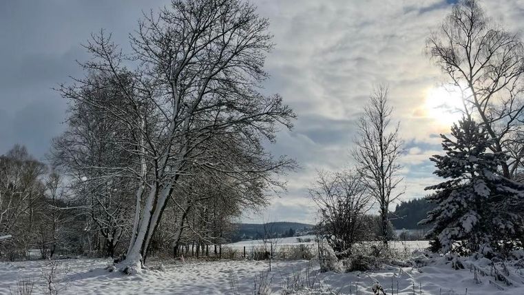 A winter landscape with snow-covered trees and a sunny sky. In the background, gentle hills can be seen.