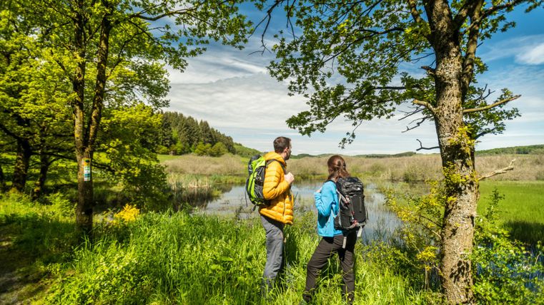 Deux randonneurs avec des sacs à dos se tiennent dans une réserve naturelle verdoyante et regardent un étang. Des arbres et un ciel bleu en arrière-plan.