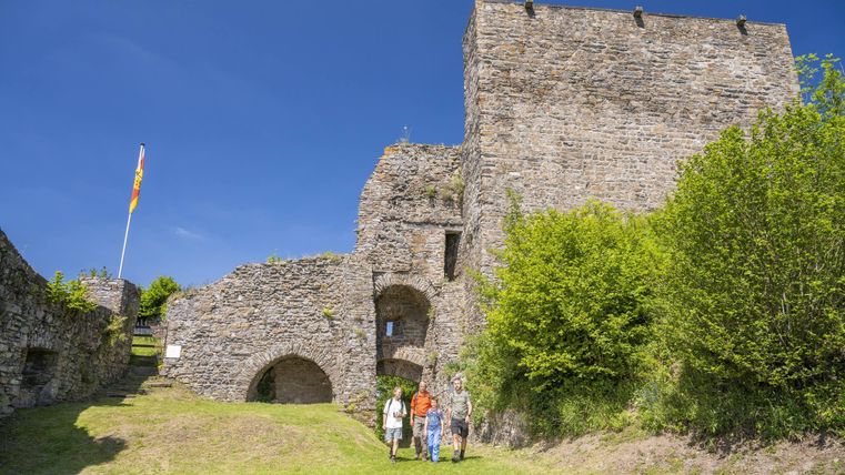 An old castle ruin surrounded by green grass and trees. People are exploring the historic site on a sunny day.