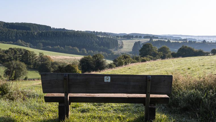 Banc en bois avec vue sur les collines vertes et les forêts de l'Eifel.