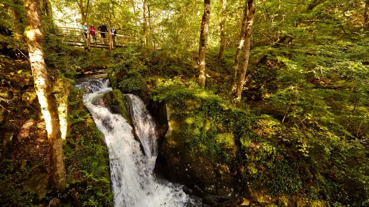 Wandelaars staan op een houten brug over een waterval in het groene bos.