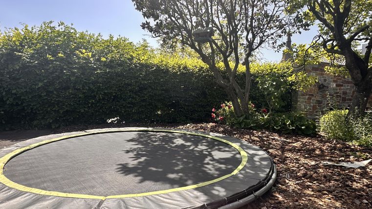 A trampoline in the garden, surrounded by trees and shrubs. The ground is covered with fallen leaves.
