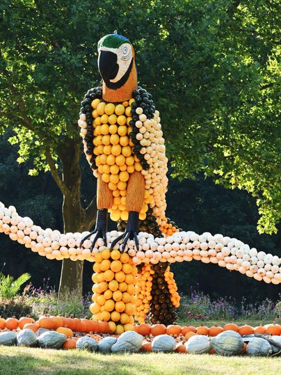 Eine bunte Skulptur eines Ara-Papageis aus verschiedenen Früchten steht auf einem weißen Ast. Der Hintergrund zeigt grüne Bäume und einen klaren Himmel.