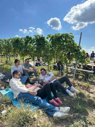 A group of people is relaxing on a blanket among grapevines. The sky is blue with some clouds, and there is a cheerful atmosphere.