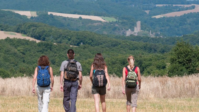 Vier wandelaars in een veld met uitzicht op de ruïnes van het kasteel van Monreal in de verte.