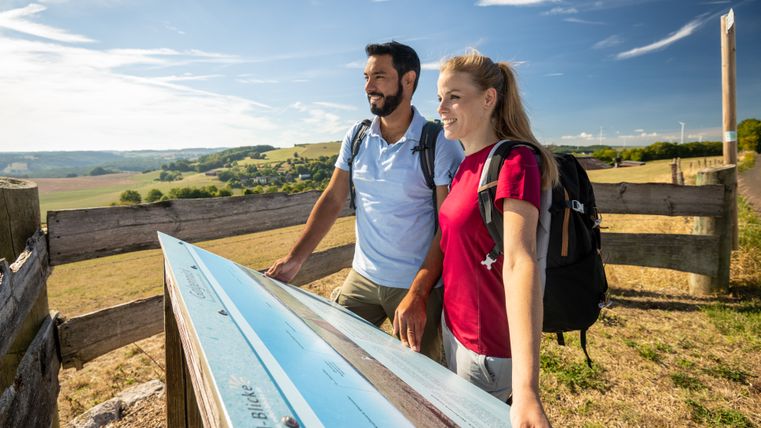 Two people with rucksacks look at an information board in a rural landscape.