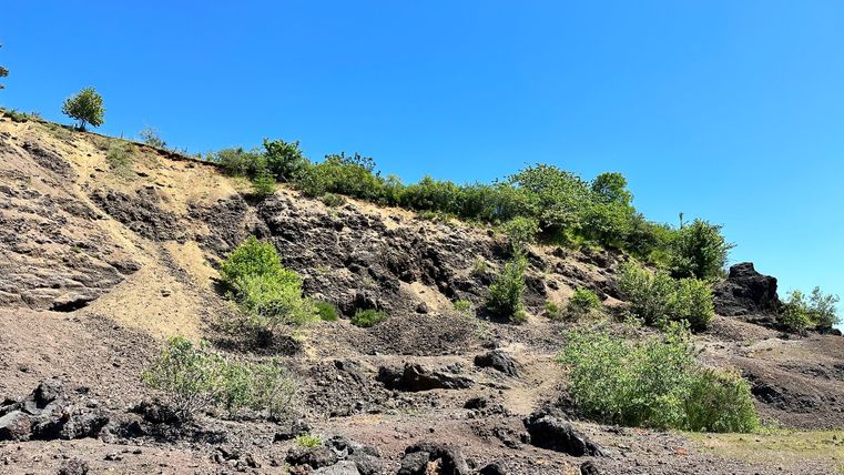 Ehemaliger Steinbruch am Mosenberg mit Vegetation und blauem Himmel.