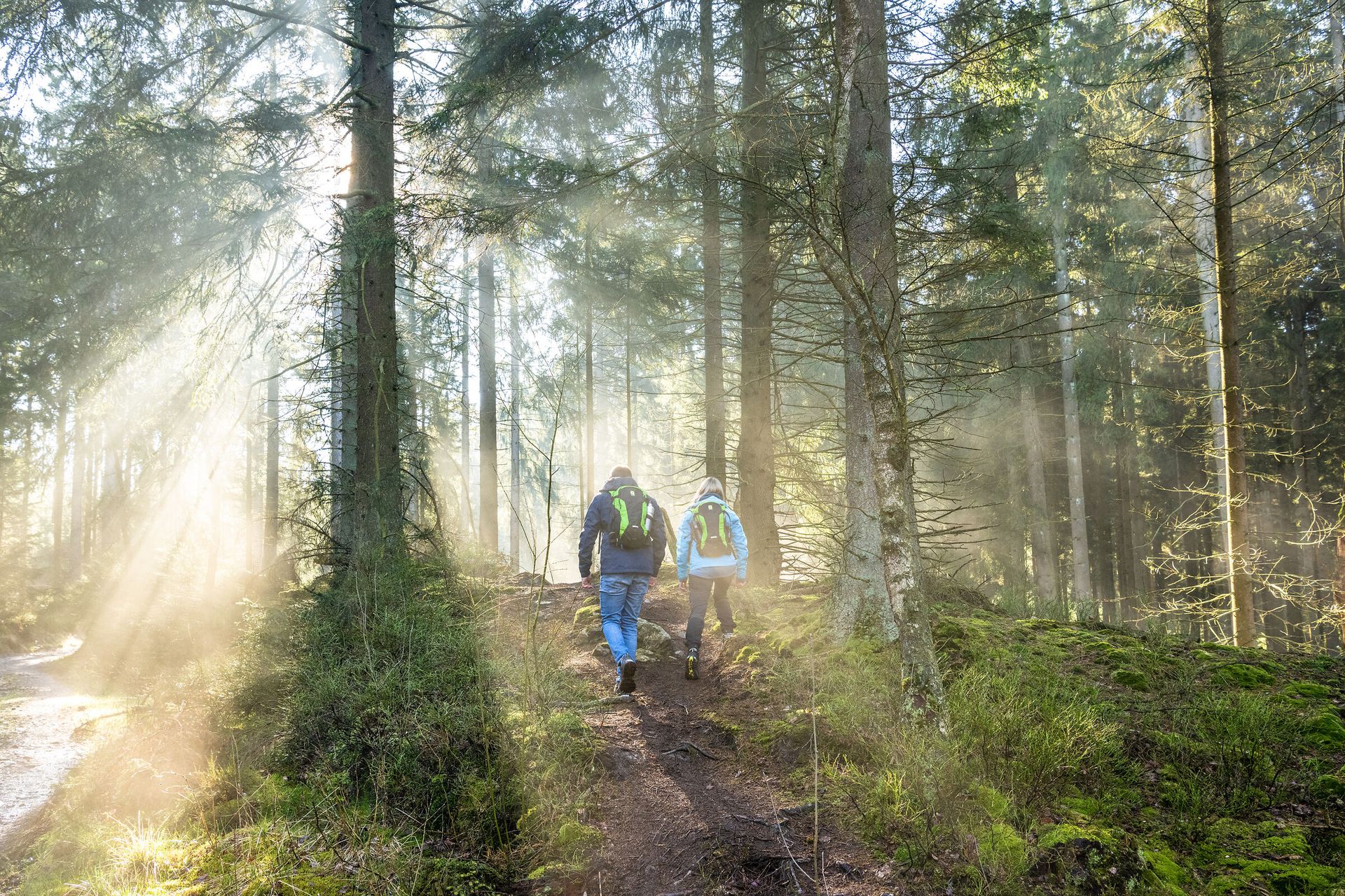 2 Wanderer im Nebel