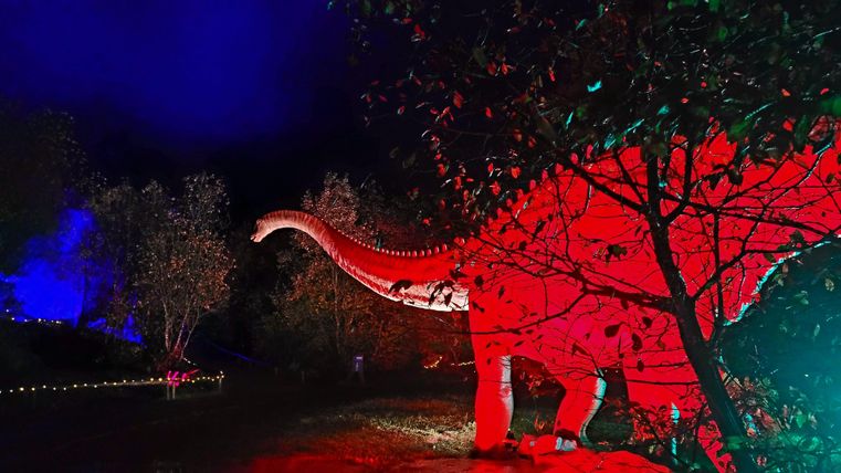 Un dinosaure illuminé se tient entre des arbres dans un environnement sombre. La scène a une atmosphère mystique grâce aux lumières colorées.