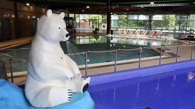 A swimming pool with a white bear sitting on a blue ledge. In the background, water basins and loungers can be seen.