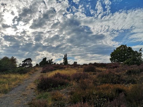 Eine hügelige Landschaft mit einem Schotterweg und leichten Hügeln. Der Himmel ist bewölkt, mit vereinzelten Sonnenstrahlen.