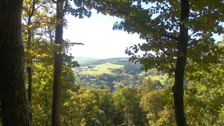 Blick durch Bäume auf eine grüne Landschaft mit Hügeln und einem Dorf im Hintergrund.