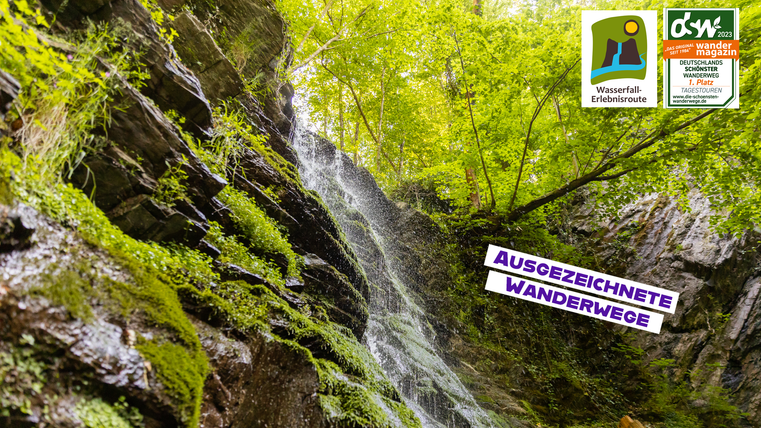 Une belle cascade, entourée de feuillage vert et de rochers couverts de mousse. La scène dégage une atmosphère calme et naturelle.