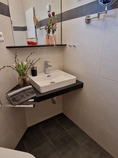 Une salle de bain moderne avec un lavabo simple et un grand miroir. Sur la tablette, il y a des plantes et des éléments de décoration.