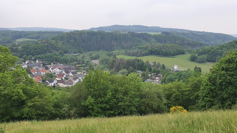 Un paysage pittoresque avec des collines douces et beaucoup de verdure. Au premier plan, on peut voir un village entouré de forêts.