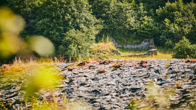 Vue sur l'ardoise dans le Kaulenbacht. En arrière-plan, on aperçoit des arbres verts.