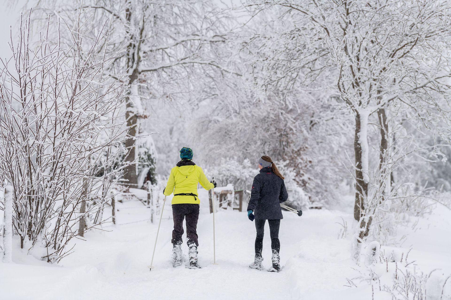 Zwei Personen wandern mit Schneeschuhen durch verschneiten Wald